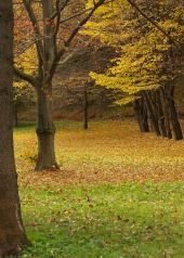 Podzimní park u lázeňských domů v obci Lúčky