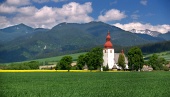 Zelené pole a starý kostel