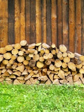 Kopa čerstvě narúbaného dřeva