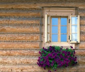 Okno dřevěnice s květinami