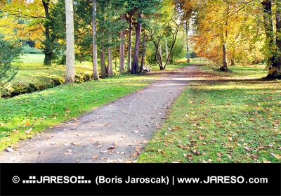 Pestrobarevný podzimní park a turistický chodník