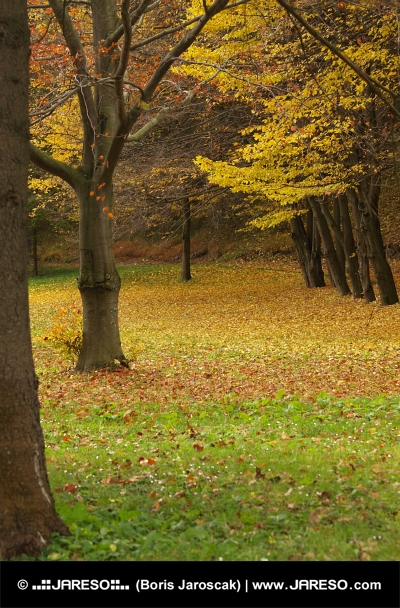 Podzimní park u lázeňských domů v obci Lúčky