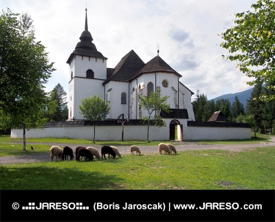Gotický kostel v Pribylině s ovcemi