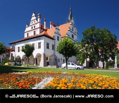 Květiny a radnice v Levoči na Slovensku